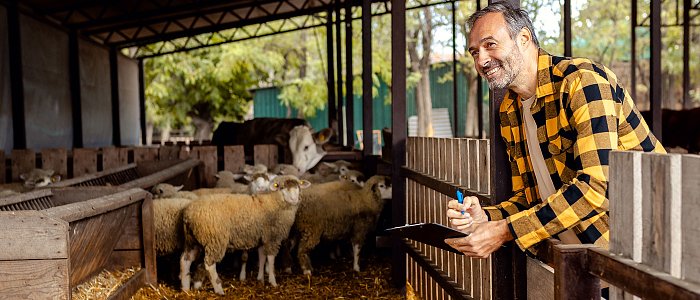 Ξεσηκώθηκαν οι κτηνοτρόφοι της Λέσβου, λένε όχι στις σφαγές ζώων λόγω αφθώδους πυρετού, ζητούν άμεσα εμβολιασμό