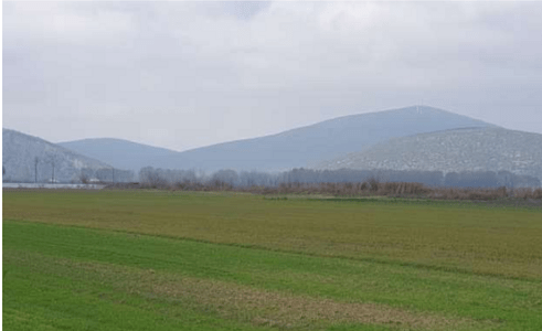 Πωλείται αγροτεμάχιο στον Ορχομενό Βοιωτίας