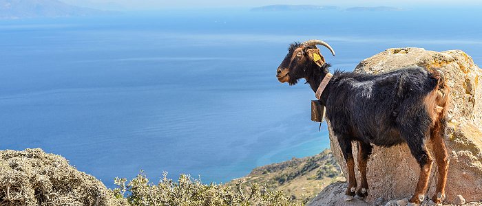 Πάνω από 600 εκ. ευρώ μέσω Leader για επενδύσεις στον τουρισμό της υπαίθρου
