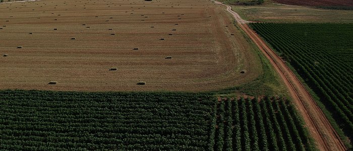 Ρουμανία: Στέλεχος του Δημοσίου κατηγορείται για εμπλοκή σε κύκλωμα απάτης με αγροτικές ενισχύσεις