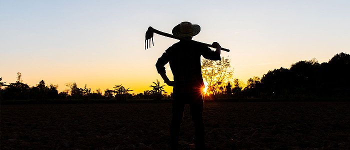 Μικρός κλήρος και ηλικιωμένοι αγρότες το πρόβλημα της χώρας, επενδύσεις και όχι ενισχύσεις ζητά η Τράπεζα Ελλάδας