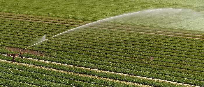 ΤΟΕΒ: Το αυξανόμενο κόστος άρδευσης βαραίνει τους παραγωγούς