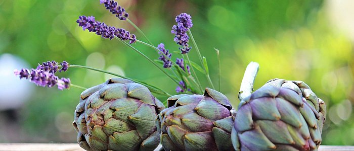 Αγκινάρα: από «βασίλισσα» του κάμπου σε καλλιέργεια δεύτερου ρόλου