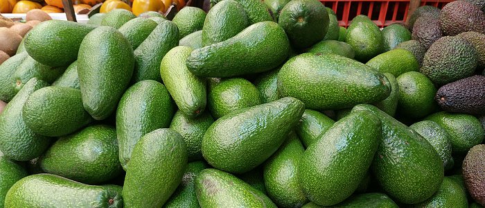 Αβοκάντο: πώς εξελίσσεται η καλλιέργεια και τι δείχνει η αγορά