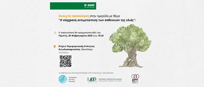 Ημερίδα για τις ασθένειες της ελιάς στο Μεσολόγγι