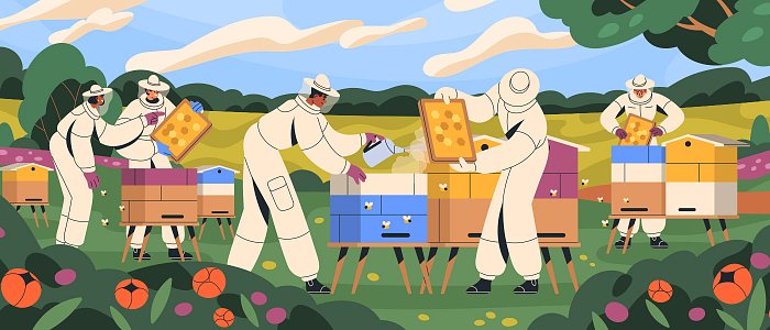 Παράταση ή νέα πρόσκληση για το παλαιό πρόγραμμα βιολογικών περιμένουν οι μελισσοκόμοι