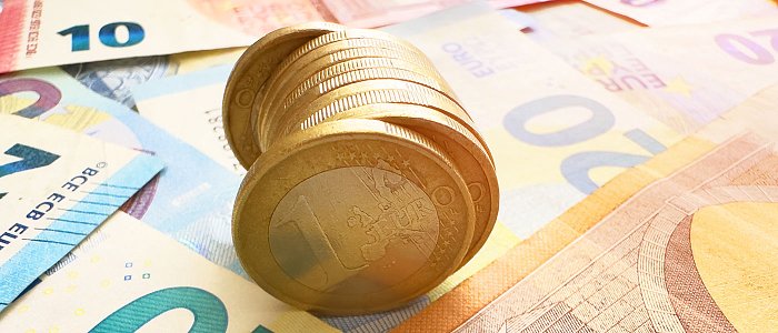 Συνδεδεμένες: 32,8 ευρώ όσπρια, 19,2 κτηνοτροφικά ψυχανθή, 9,5 σανοδοτικά ψυχανθή