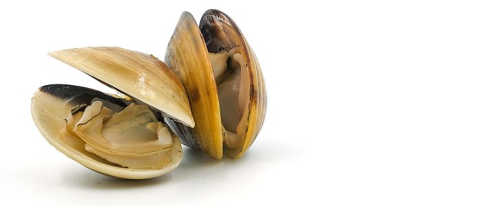 Ενίσχυση de minimis στην οστρακοκαλλιέργεια για την κλιματική κρίση