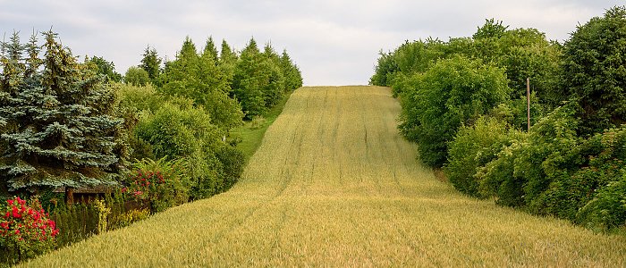 Αντιδράσεις Πανελλήνιας Ένωσης Ιδιοκτητών Αγροτικών Ακινήτων για άρθρο 12 νομοσχεδίου Χατζηδάκη για κράτος φιλικό στον πολίτη