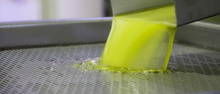 Στα 5,50 ευρώ πουλήθηκε ελαιόλαδο στην Λακωνία, αυξημένη ζήτηση για καλή ποιότητα, τιμές Ισπανίας