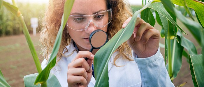 Το Σύγχρονο Ερευνητικό Ινστιτούτο, ως Στρατηγική Επιλογή Εθνικής Ανάπτυξης