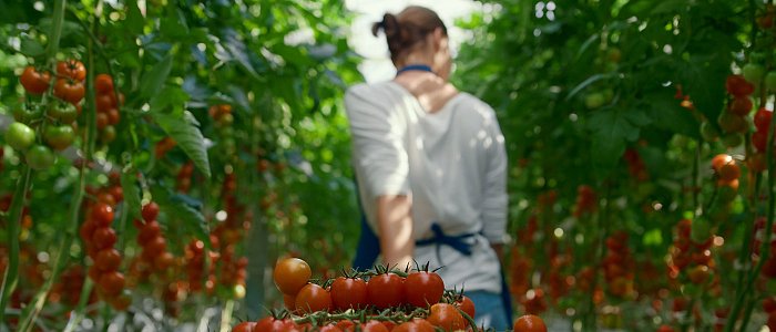 Συλλήψεις για εμπορία ανθρώπων, υπόσχονταν απασχόληση σε αγροτικές εργασίες