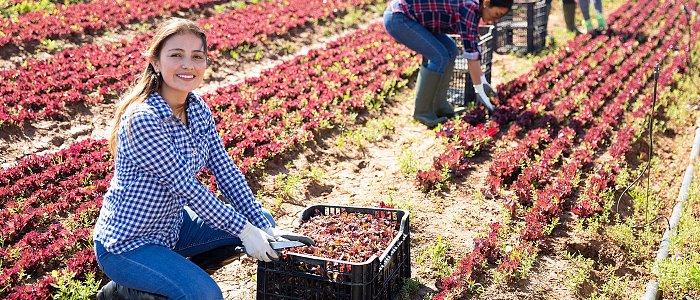 Σε λειτουργία τέθηκε η νέα εφαρμογή για το εργόσημο, οι νέες δυνατότητες των ασφαλισμένων