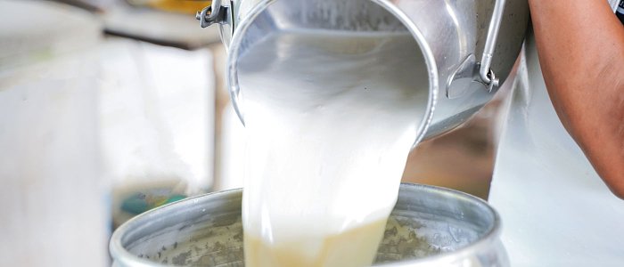 Συζητούν πρόγραμμα οικονομικής στήριξης παραγωγών γάλακτος για αντιμετώπιση της πτώσης τιμών στην ΕΕ