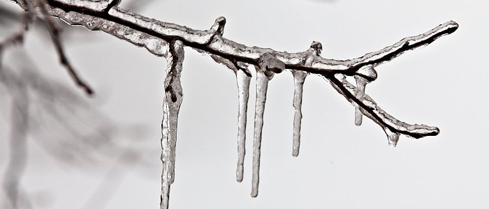 Τα αλλάζουν τώρα στο ΥπΑΑΤ, ξεχάστε προκαταβολές για αποζημιώσεις λόγω παγετού