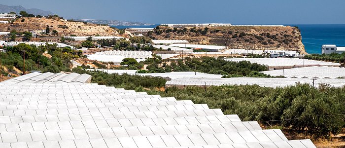 Τι σημαίνει η υψηλή αγωγιμότητα για τα φυτά του θερμοκηπίου και πώς προσαρμοζόμαστε.