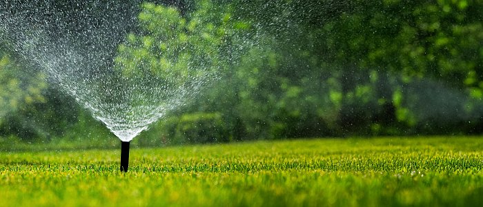 Μηνυτήρια αναφορά συνεταιρισμών για προβλήματα άρδευσης στην Λάρισα, μιλάνε για ζημιές σε 10.000 στρέμματα
