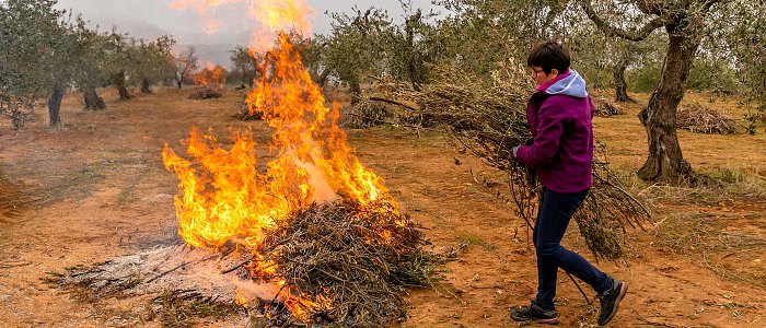 Προσοχή κατά την καύση κλαδεμάτων και άλλων φυτικών υπολειμμάτων, υπάρχει κίνδυνος προστίμων και ποινικών κυρώσεων