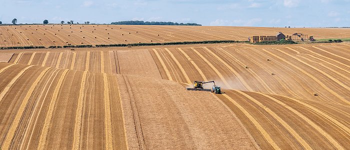 Προκαταβολή 18 λεπτά για το κριθάρι ανακοίνωσε ο Αγροτικός Συνεταιρισμός Βόλου
