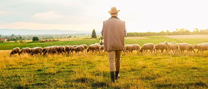 Με υποσχέσεις για πληρωμές έφυγαν οι κτηνοτρόφοι της Κρήτης από την Αθήνα