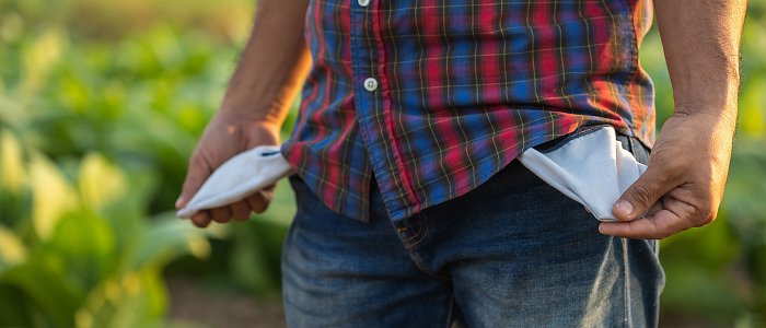 Υπογράφηκε ΚΥΑ για προανθικό 2021 και de minimis στο ρύζι, τα ποσά ενισχύσεων, πότε γίνονται αιτήσεις και πότε πληρωμές