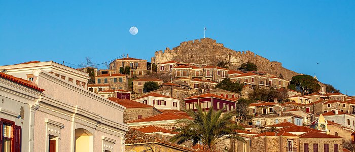 Αφθώδης πυρετός στη Λέσβο: Εκκρεμούν οι αποζημιώσεις, ενώ παραμένουν κρίσιμα ζητήματα για την κτηνοτροφία