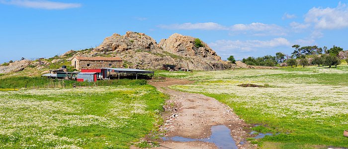 Στήριξη πληγέντων από τον αφθώδη πυρετό – Ανακοινώθηκε παράταση και αναστολή φορολογικών υποχρεώσεων