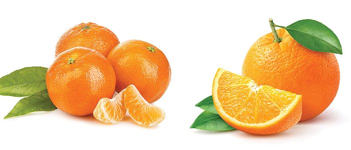 Τελειώματα τα Ορτανίκ ξεκίνησαν τα Βαλέντσια στην Λακωνία, που κυμαίνονται οι τιμές, ζημιές στα πορτοκάλια της Ιταλίας