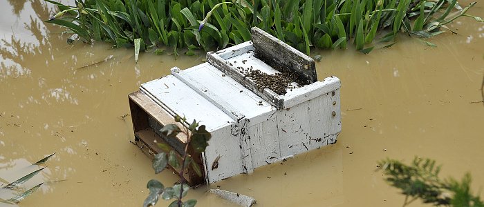 Για το Μέτρο 5.2 κατατέθηκαν πανελλαδικά 441 αιτήσεις και έγιναν αποδεκτές 121 αλλά εκκρεμεί η πληρωμή τους