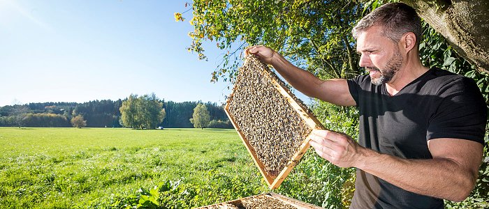 Υποστελέχωση και έλλειψη εκπαίδευσης δυσκολεύουν τους ελέγχους στη Βιολογική Μελισσοκομία