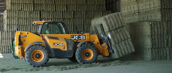 Η μηδική θέλει στήριξη λόγω προβλημάτων από την ευλογιά, οι τιμές έπεσαν κάτω και από τα 15 λεπτά