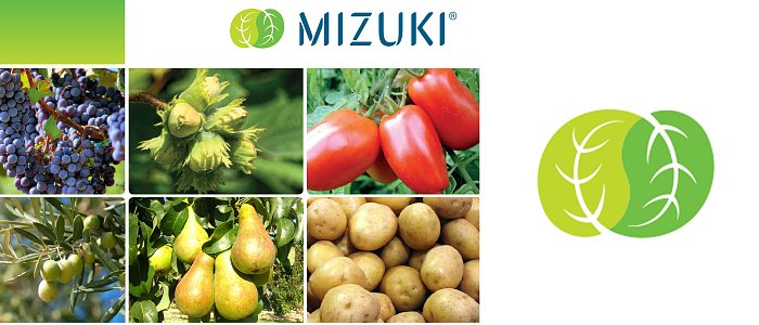 Διεύρυνση του Φάσματος Δράσης του ζιζανιοκτόνου MIZUKI