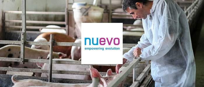 Full Value Pigs: εκεί όπου η Γενετική, η Διατροφή και η Διαχείριση αποδίδουν πραγματική εμπορική υπεραξία!
