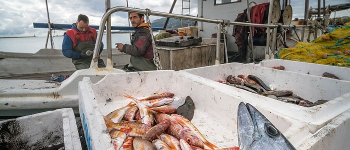Συνεχίζουν τις κινητοποιήσεις τους οι αλιείς αν και το ΥπΑΑΤ ανακοίνωσε ότι διπλασιάζεται η επιδότηση αλιευτικού πετρελαίου