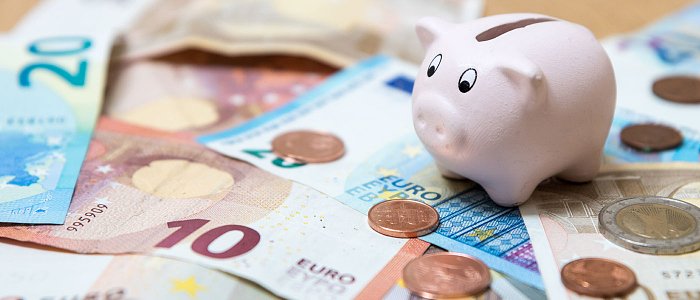 Τα 70 εκ. ευρώ από τον «κουμπαρά» του ΕΛΓΟ ΔΗΜΗΤΡΑ να δοθούν για ενίσχυση στους κτηνοτρόφους