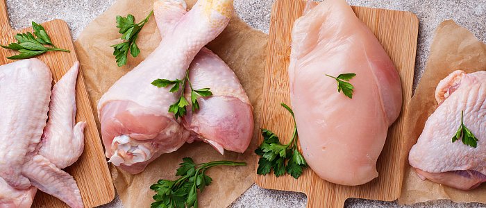 Βακτήρια τροφίμων με αντοχή στα αντιμικροβιακά φάρμακα: Μια σιωπηλή πρόκληση για την αγροδιατροφική αλυσίδα