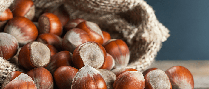 Συγκομιδή κάστανου: Μέτριες παραγωγές, καλή ποιότητα, ανοιχτό το ζήτημα των τιμών