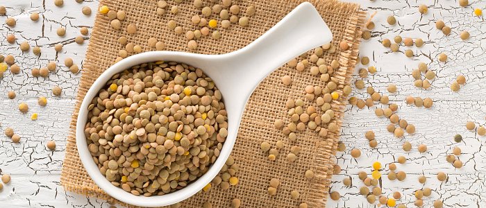 Τι δείχνει η καλλιεργητική εικόνα της φακής έως τώρα – σπορές, φυτρώματα και πρώτες ενδείξεις