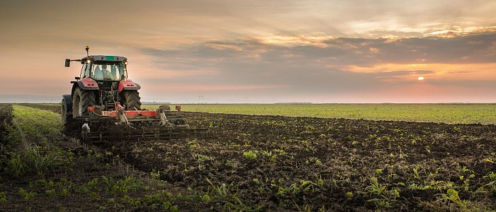 Περιορισμένη ή μηδενική κατεργασία εδάφους πριν από τη σπορά - τι σημαίνει στην πράξη