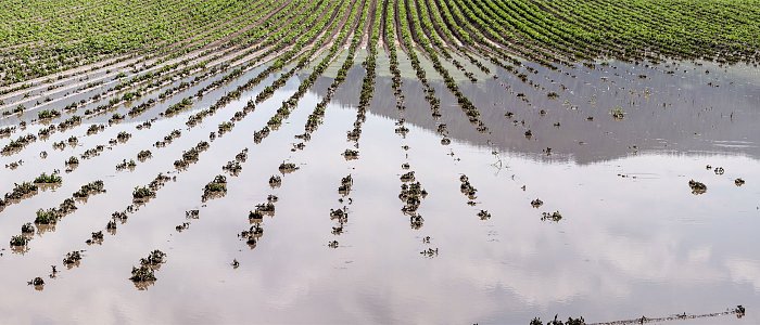 Η γεωργία πληρώνει ακριβά τις καταστροφές – Η ψηφιακή καινοτομία στο επίκεντρο των λύσεων του FAO
