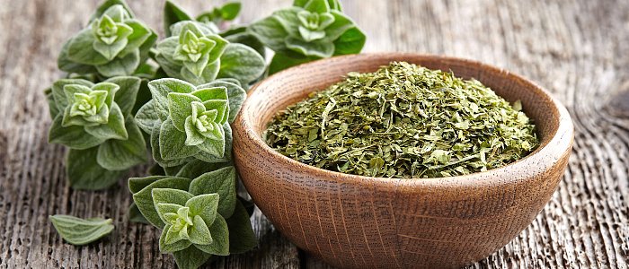 Καλλιέργεια ρίγανης: αποδόσεις, κόστος και προοπτικές για τον παραγωγό