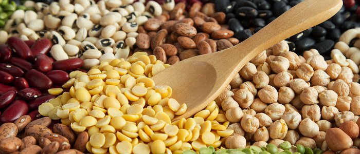 Φυτικές πρωτεΐνες: το ευρωπαϊκό στοίχημα και τι σημαίνει για τη γεωργία