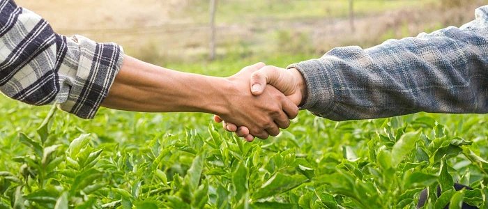 Εσύ ζήτησες τη σύμβαση συμβολαιακής; – πριν να είναι αργά