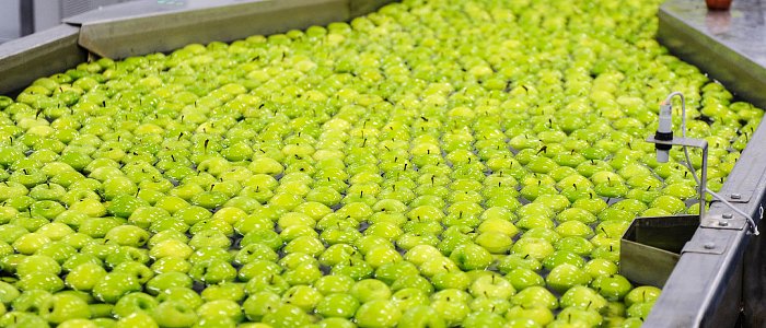 Έως 30 Απριλίου 2026 η τελευταία αίτηση καταβολής ενίσχυσης για μεταποίηση και εκσυγχρονισμό