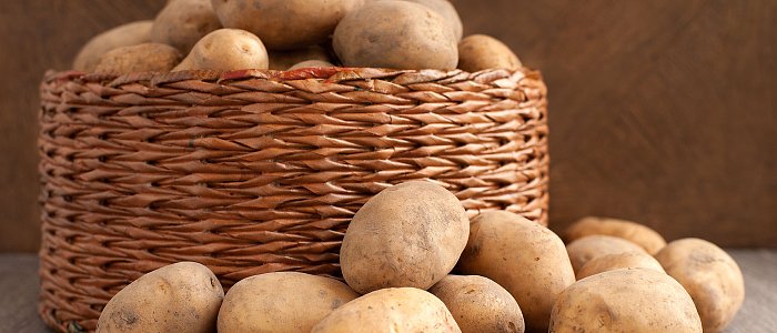 Κόνδυλοι και ρίζες: μια κατηγορία με σταθερό ρόλο στην αγροτική παραγωγή