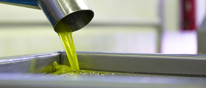 Ελαιόλαδο και υποπροϊόντα ελαιουργίας: τι παράγεται και τι αξιοποιείται μετά το λιομάζωμα