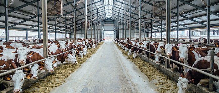 Ευζωία ή stress: Όταν οι συνθήκες στην εκτροφή κάνουν τη διαφορά
