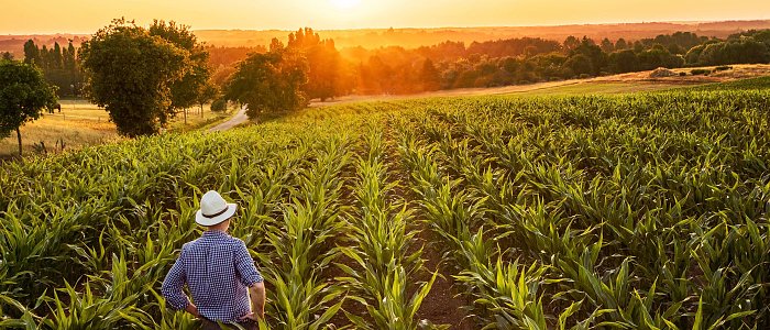 Ποια είναι η πραγματική ετοιμότητα της Ελλάδας για την “Έξυπνη Γεωργία”;