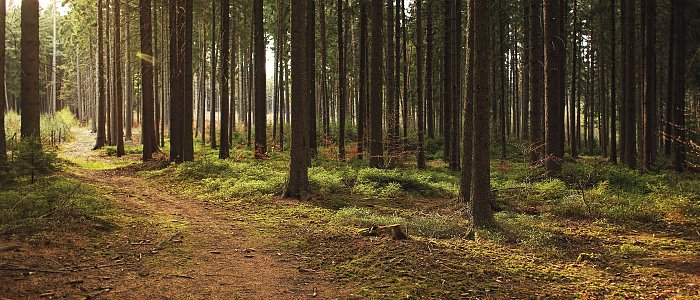 Τατόι: Ο ιδιώτης στο προσκήνιο για τον ιστορικό πυρήνα του κτήματος - αξιοποίηση 24 κτηρίων