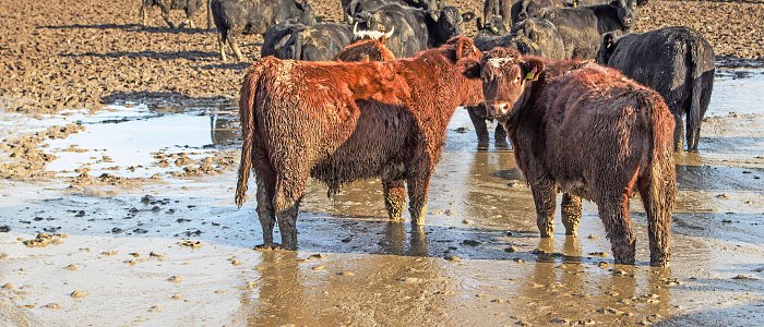 Ετοιμάζεται πληρωμή 2,46 εκατομμυρίων ευρώ για ζημιές από θεομηνία «Ντάνιελ»